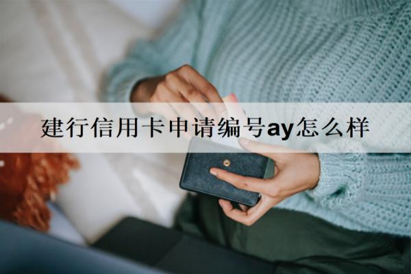 建行信用卡申请方法有哪些？申请编号ay怎么样？