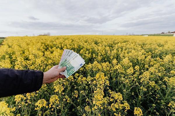 网贷逾期3个月会怎么样？逾期三个月但是已经结清影响房贷吗